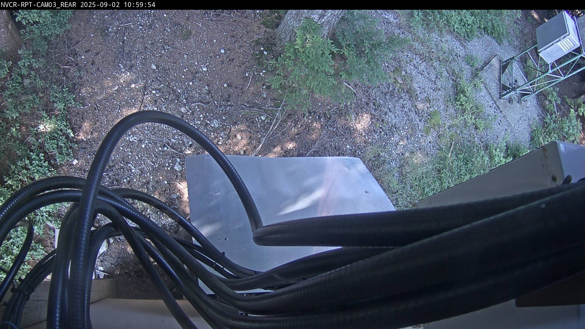 Web Cam History Image - 333