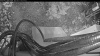 Web Cam Image - Sun, 05/17/2026 4:04am PDT