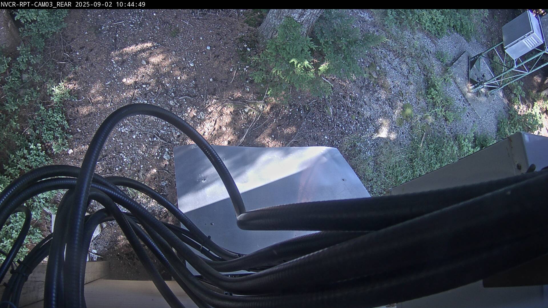 Web Cam History Image - 335