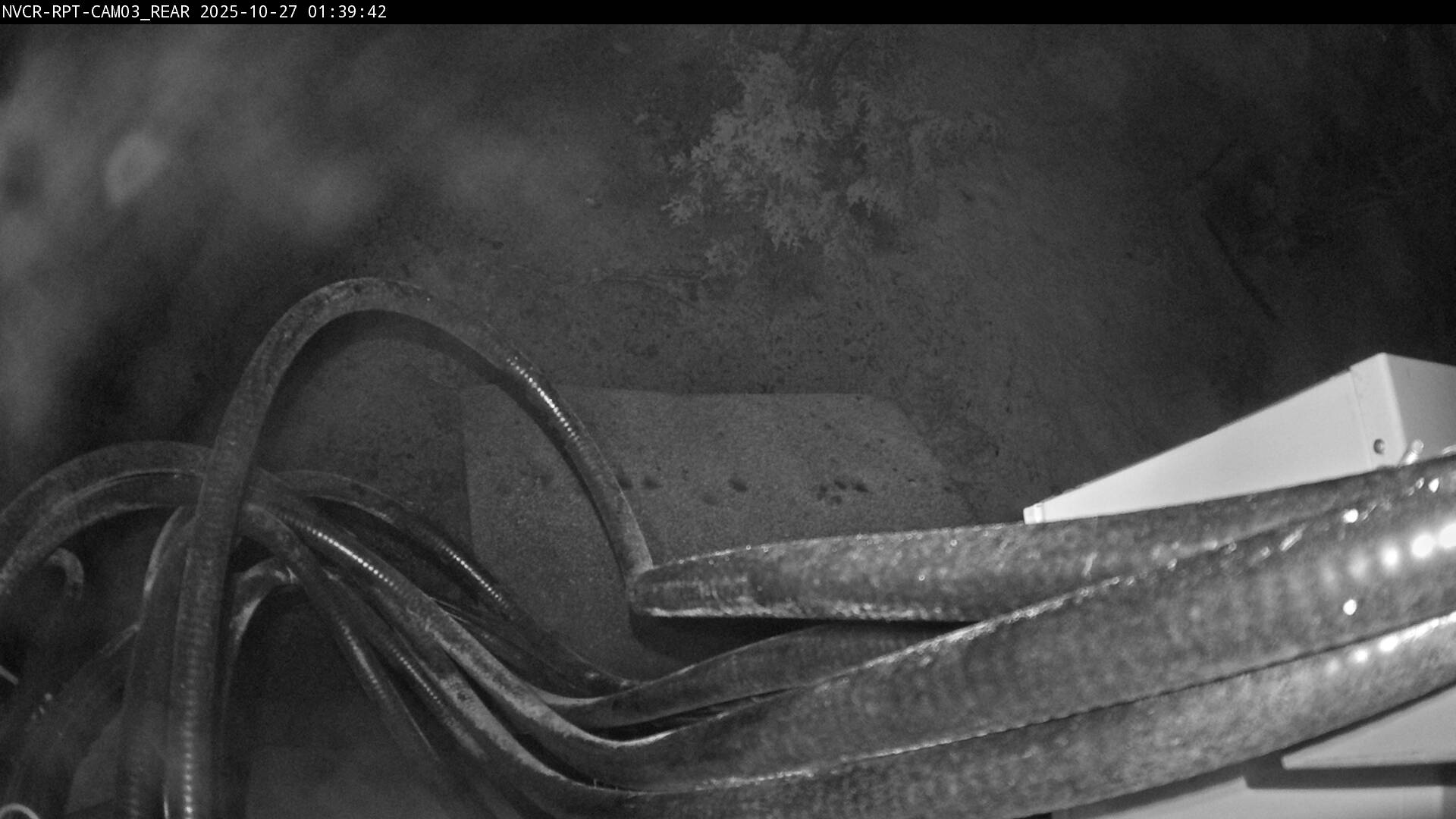 Web Cam History Image - 335