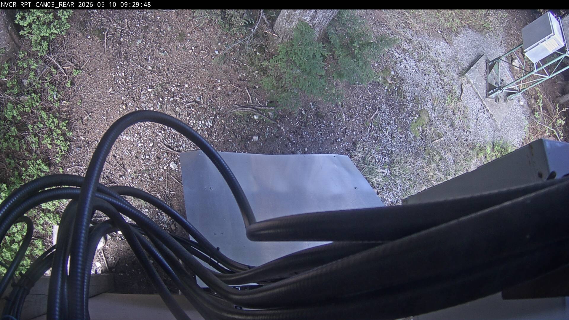 Web Cam History Image - 335