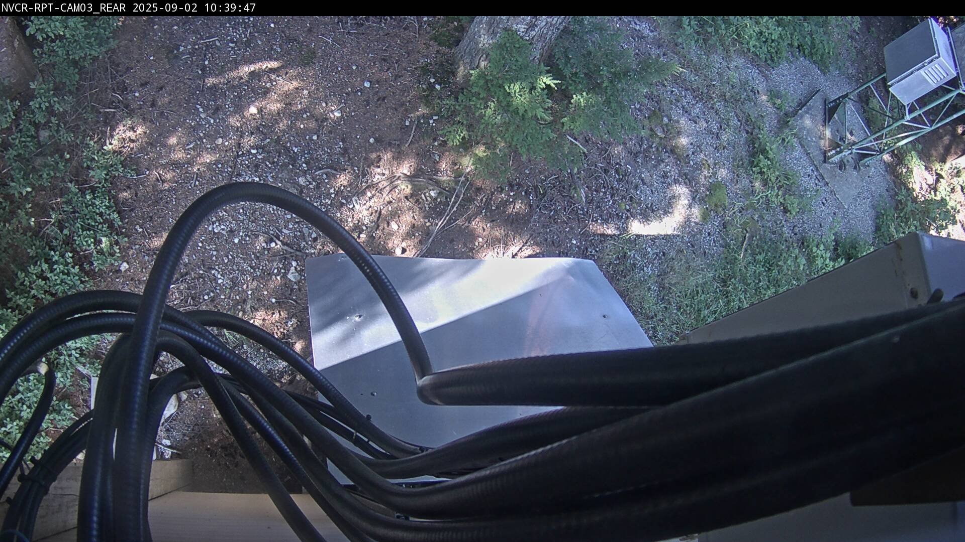Web Cam History Image - 336