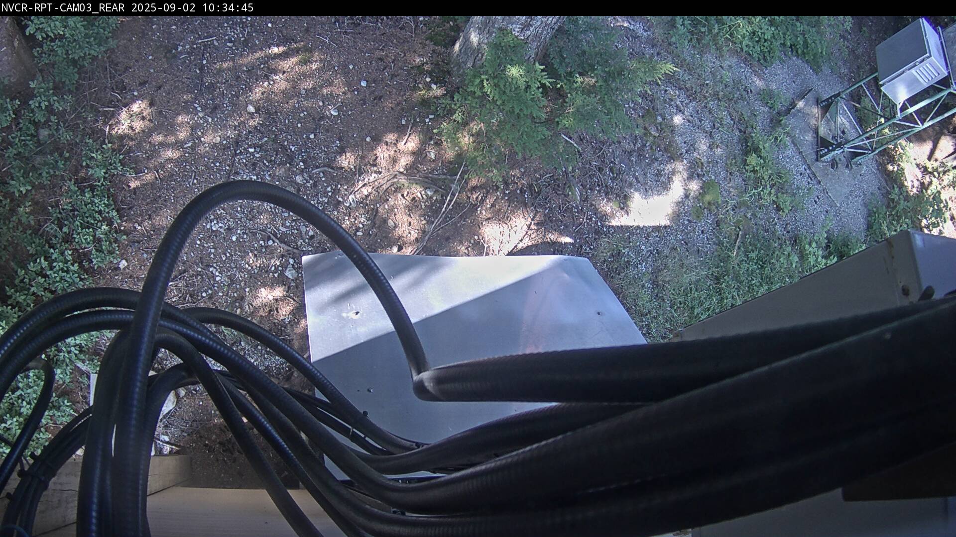 Web Cam History Image - 337