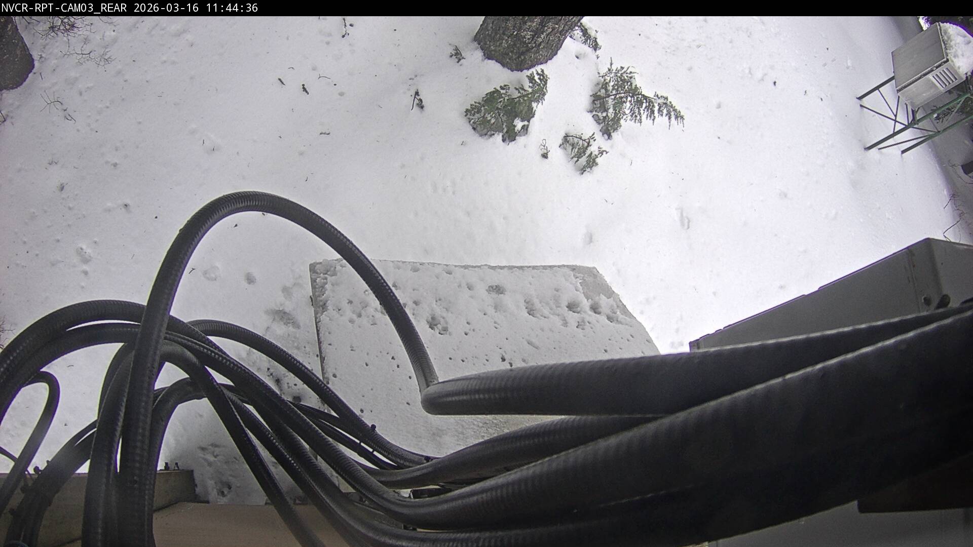 Web Cam History Image - 337