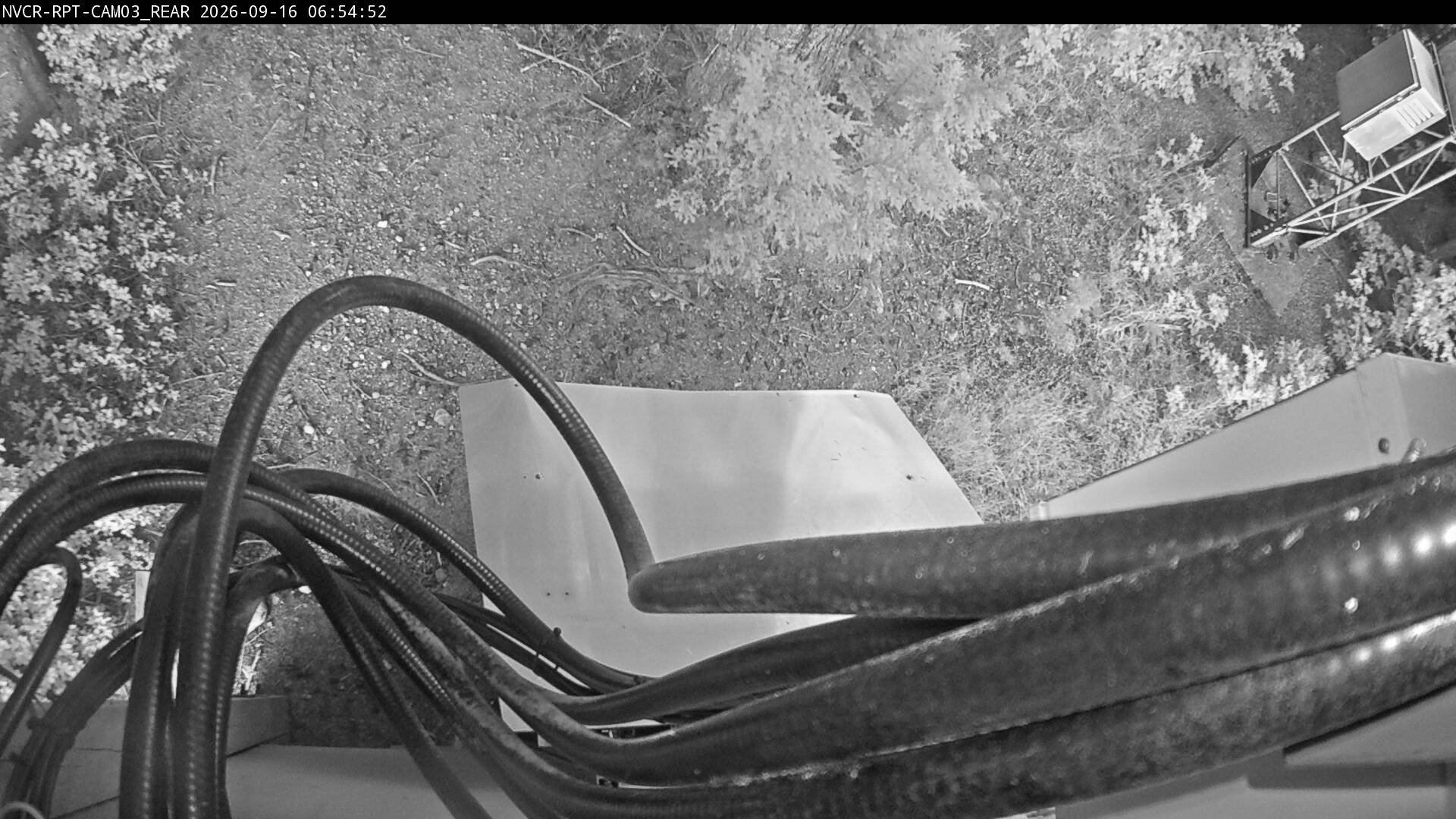 Web Cam History Image - 337