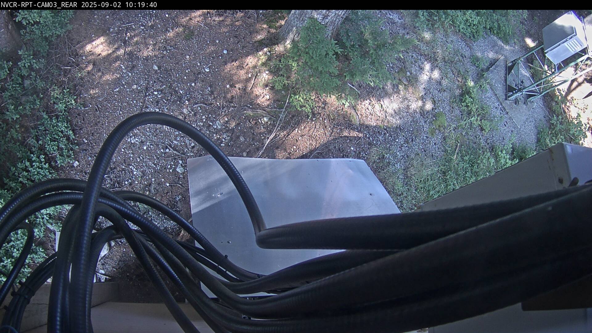 Web Cam History Image - 338