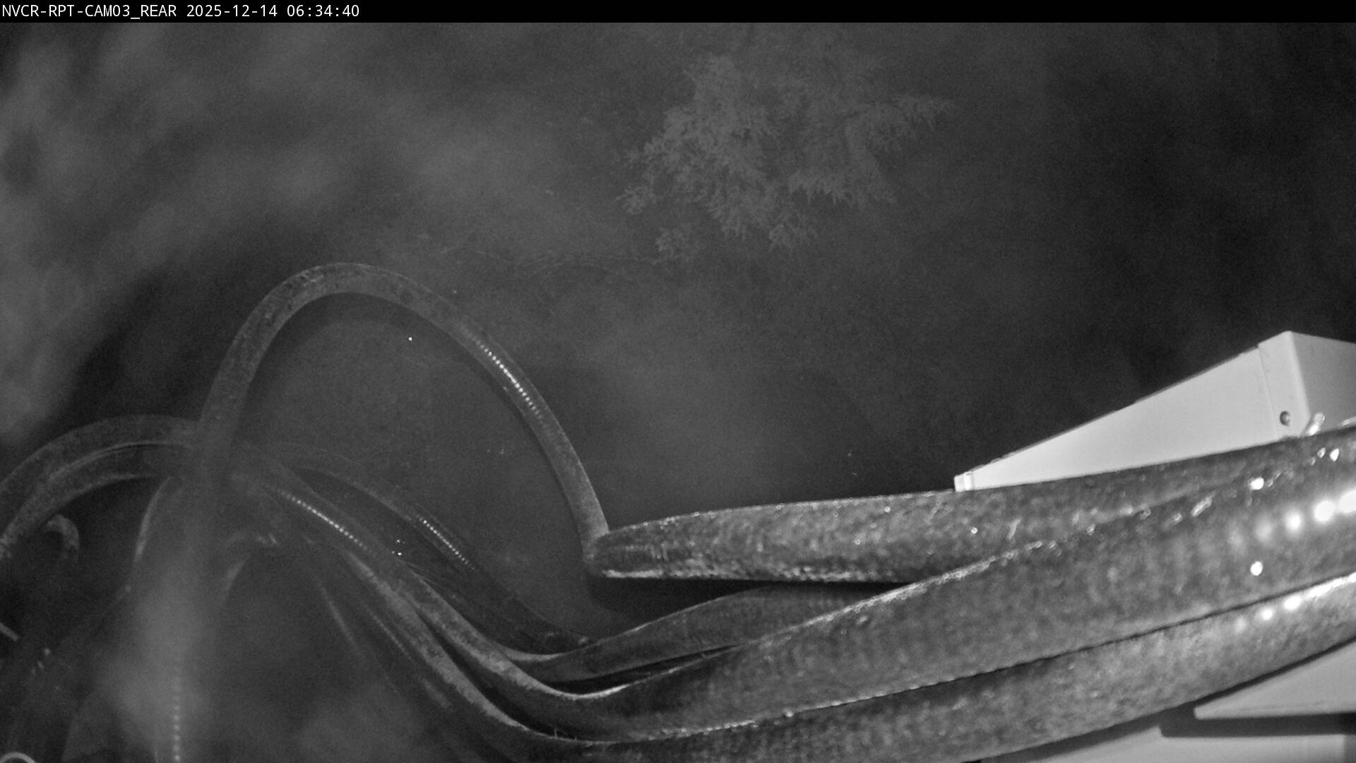 Web Cam History Image - 338