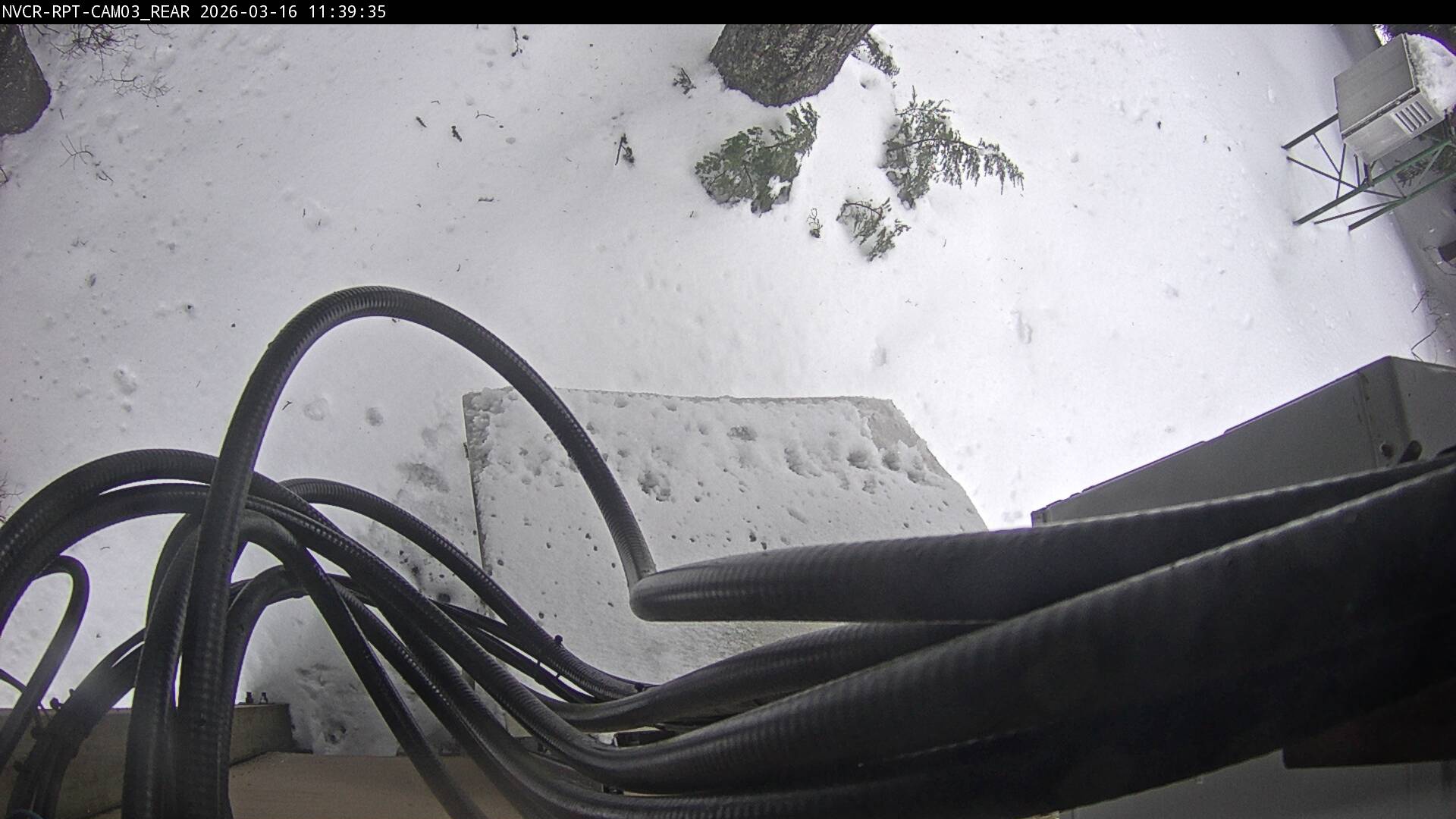 Web Cam History Image - 338