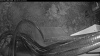 Web Cam Image - Sun, 05/10/2026 7:14pm PDT