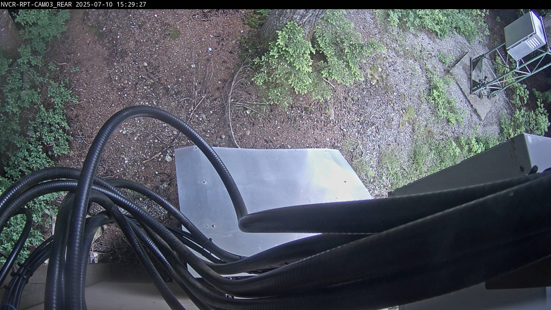 Web Cam History Image - 339