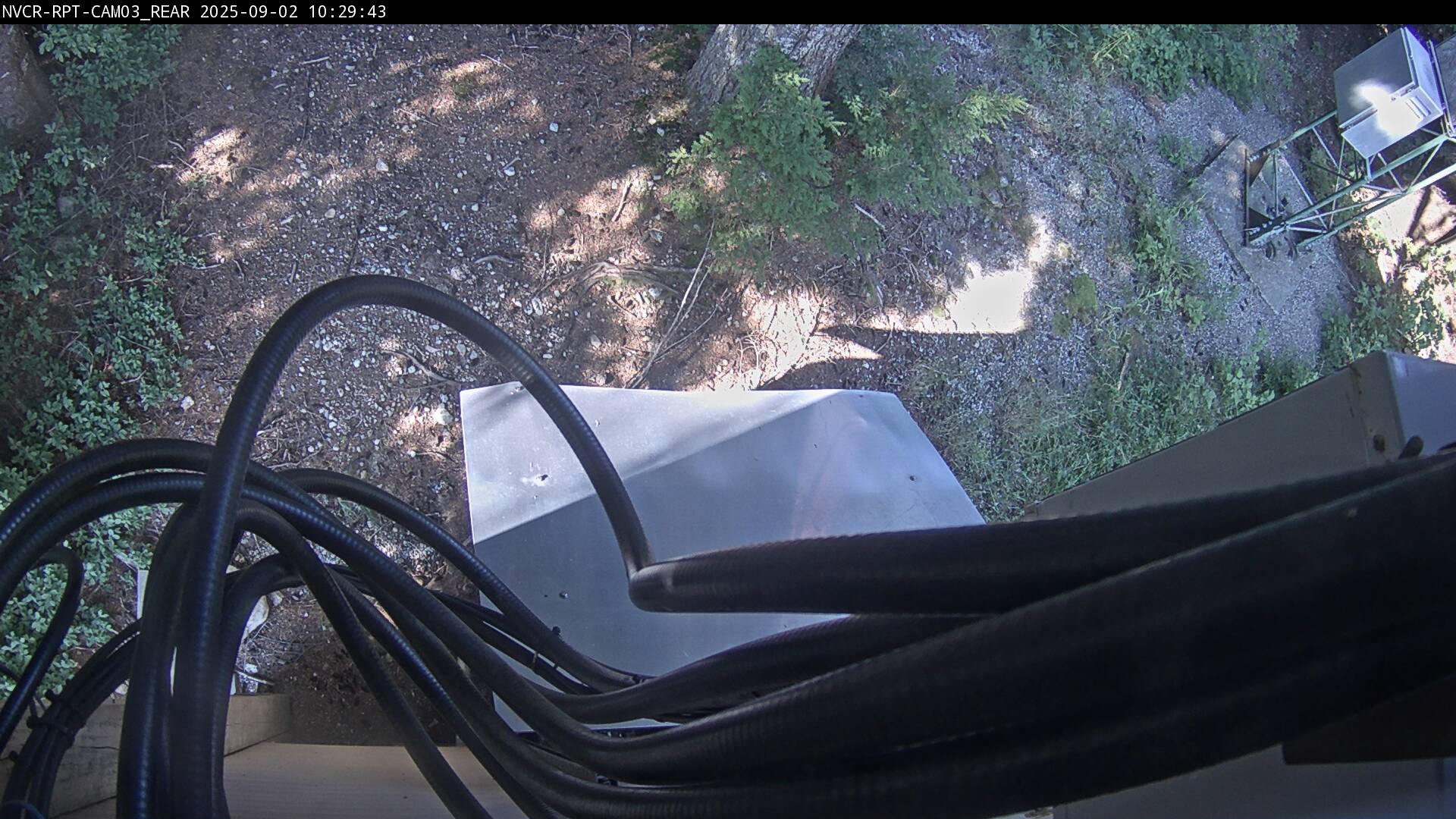Web Cam History Image - 339