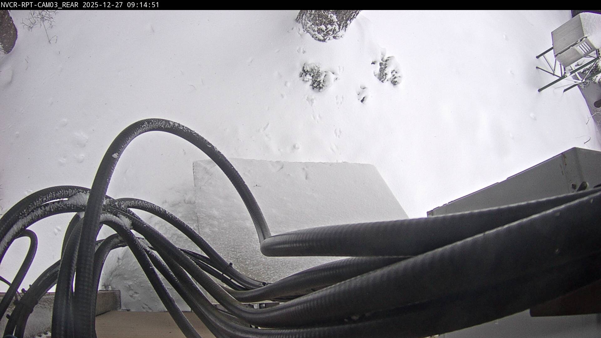 Web Cam History Image - 339