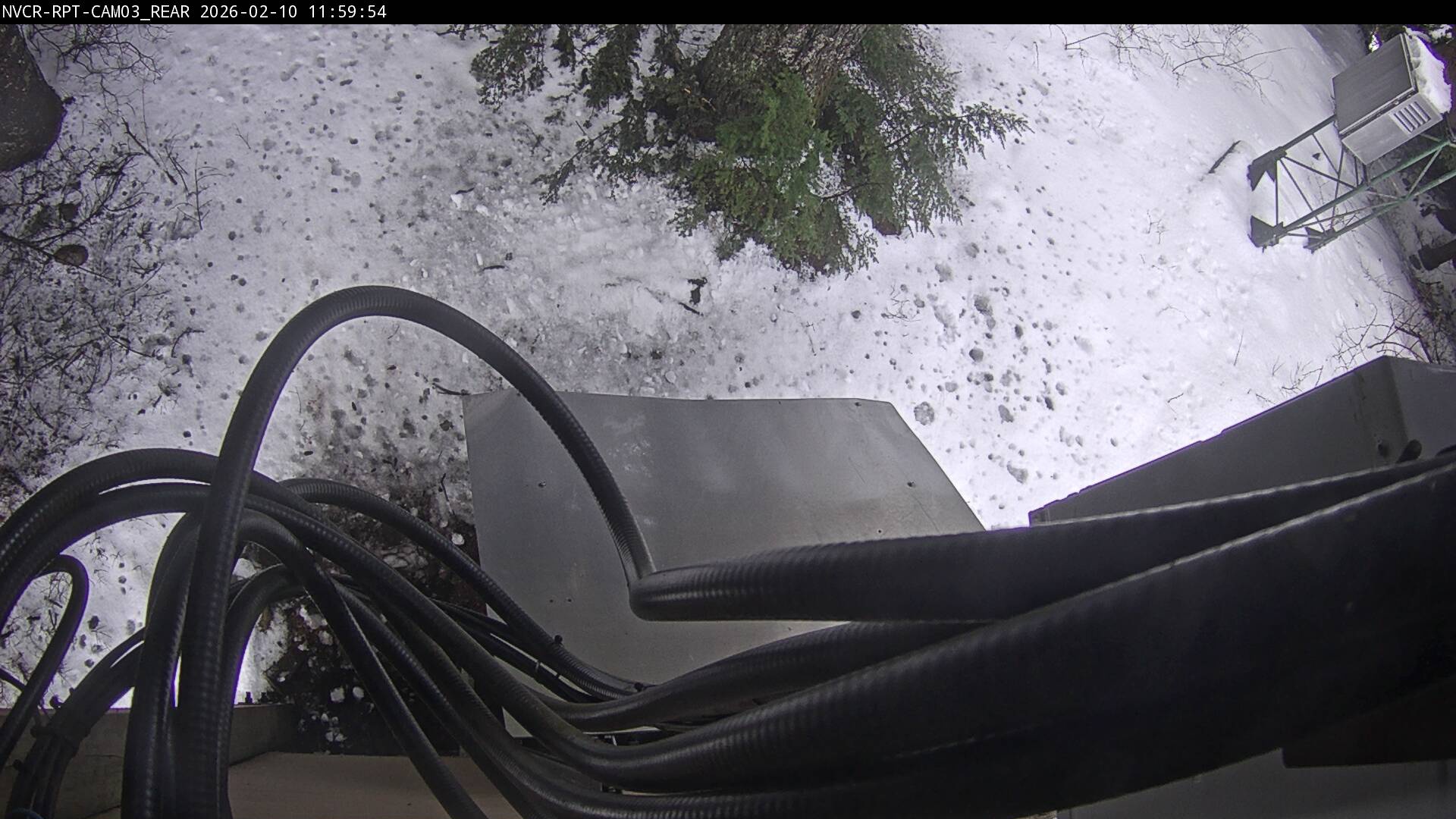 Web Cam History Image - 339