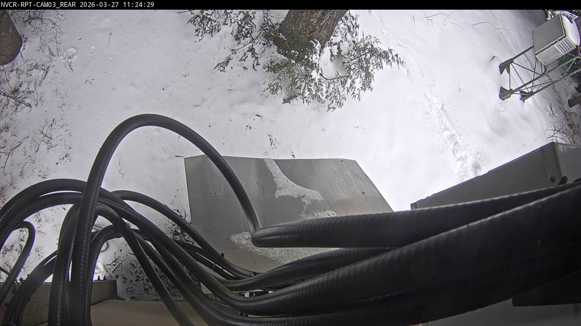 Web Cam History Image - 339