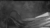 Web Cam Image - Sun, 06/14/2026 2:39am PDT