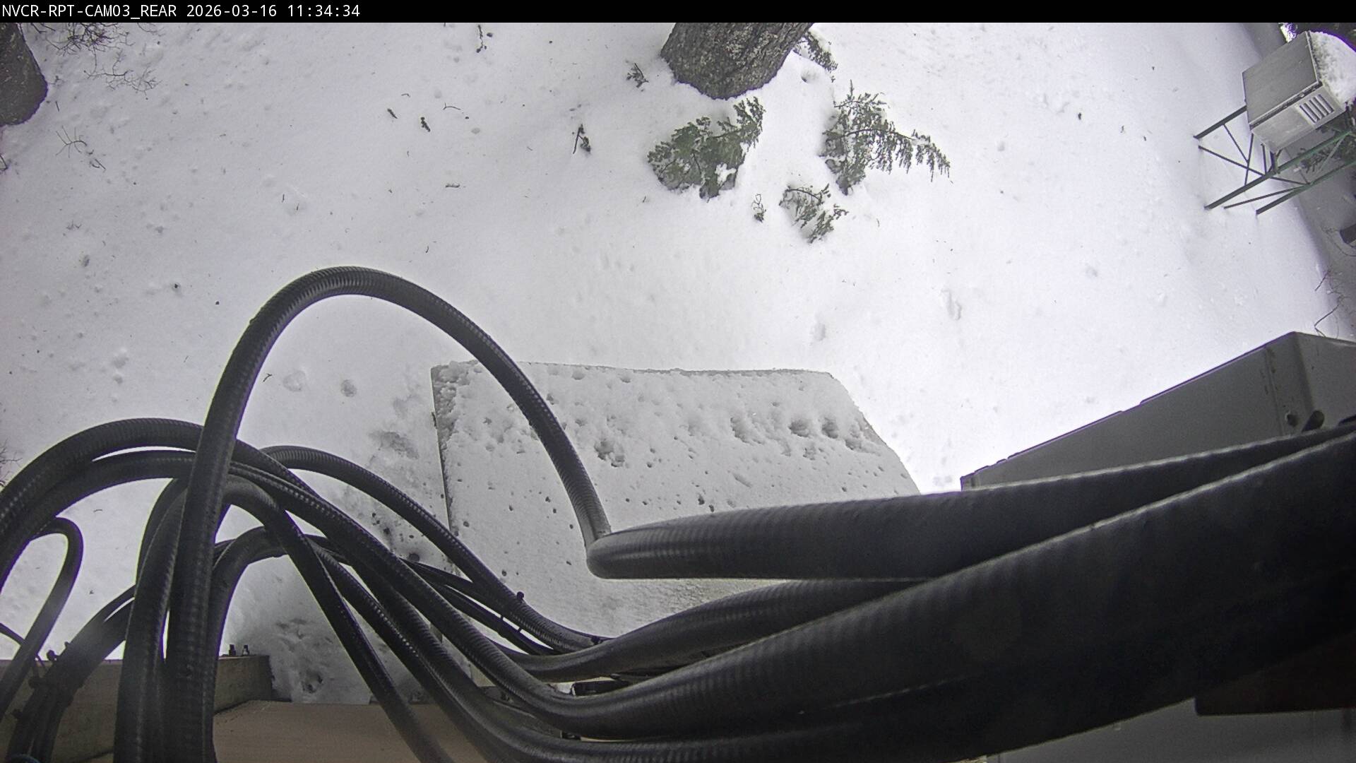 Web Cam History Image - 340