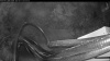 Web Cam Image - Wed, 05/13/2026 4:19am PDT