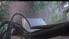 Web Cam Image - Wed, 08/19/2026 5:34am PDT