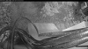 Web Cam Image - Thu, 09/03/2026 6:24am PDT