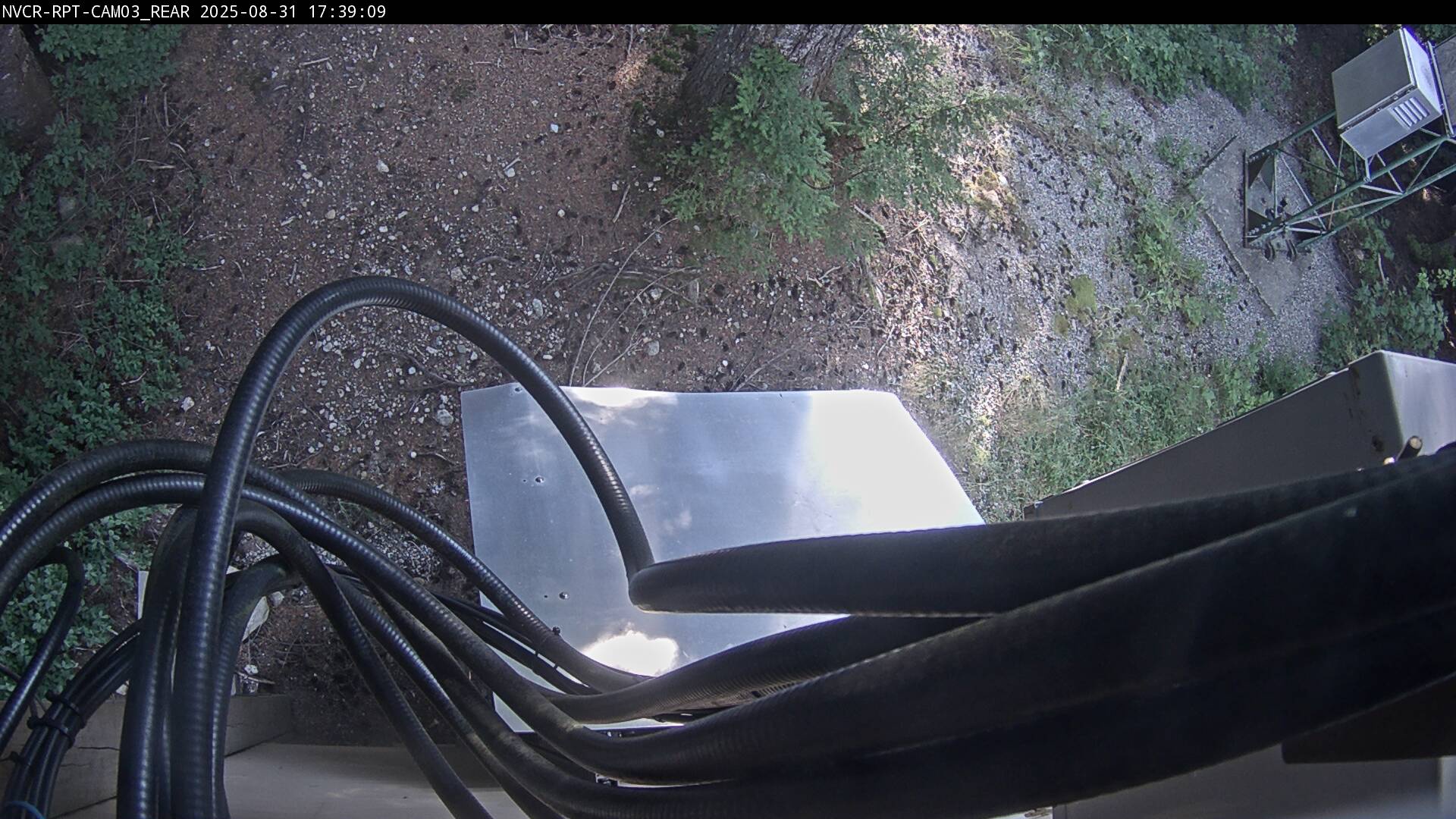 Web Cam History Image - 35