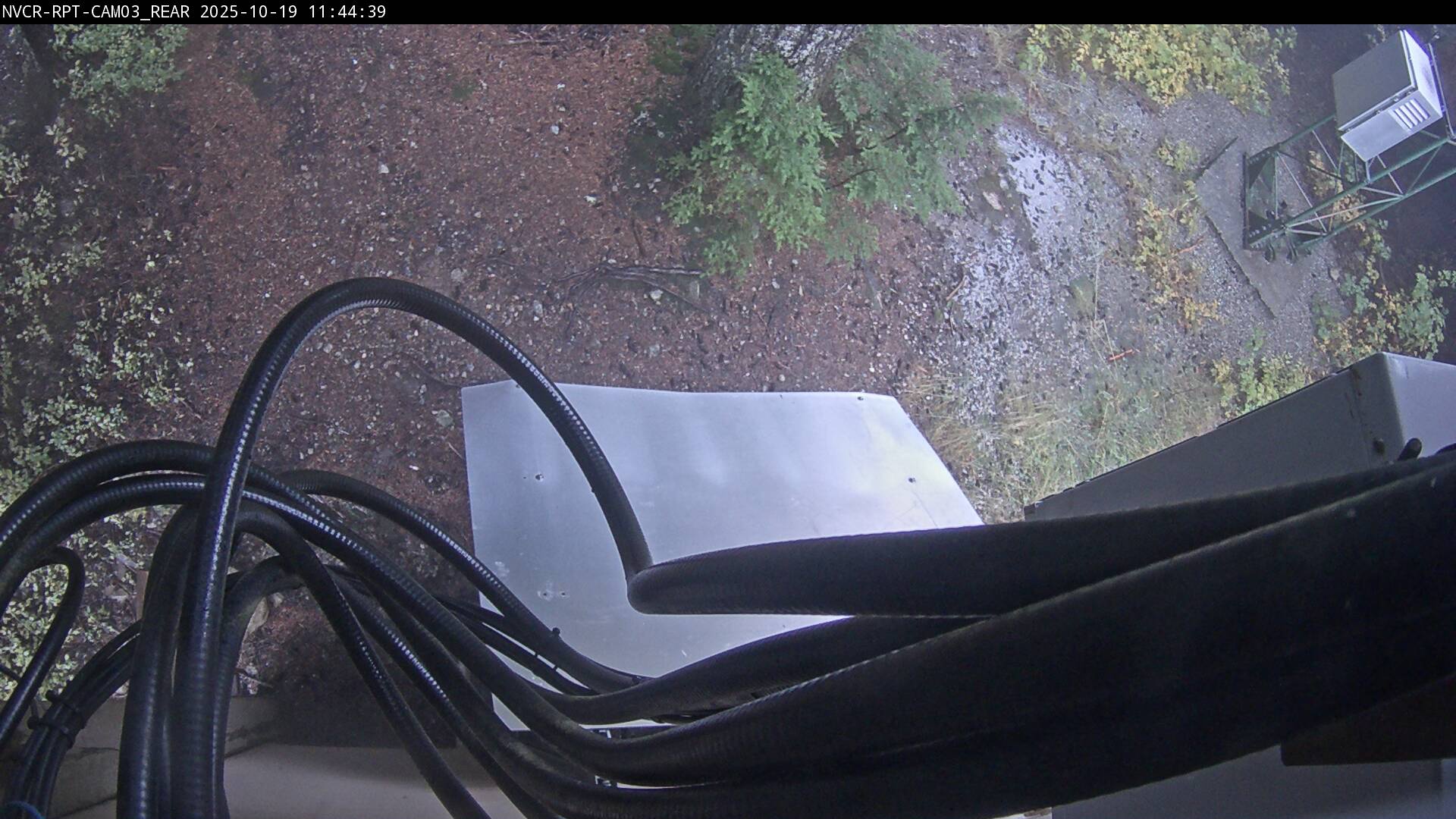 Web Cam History Image - 35