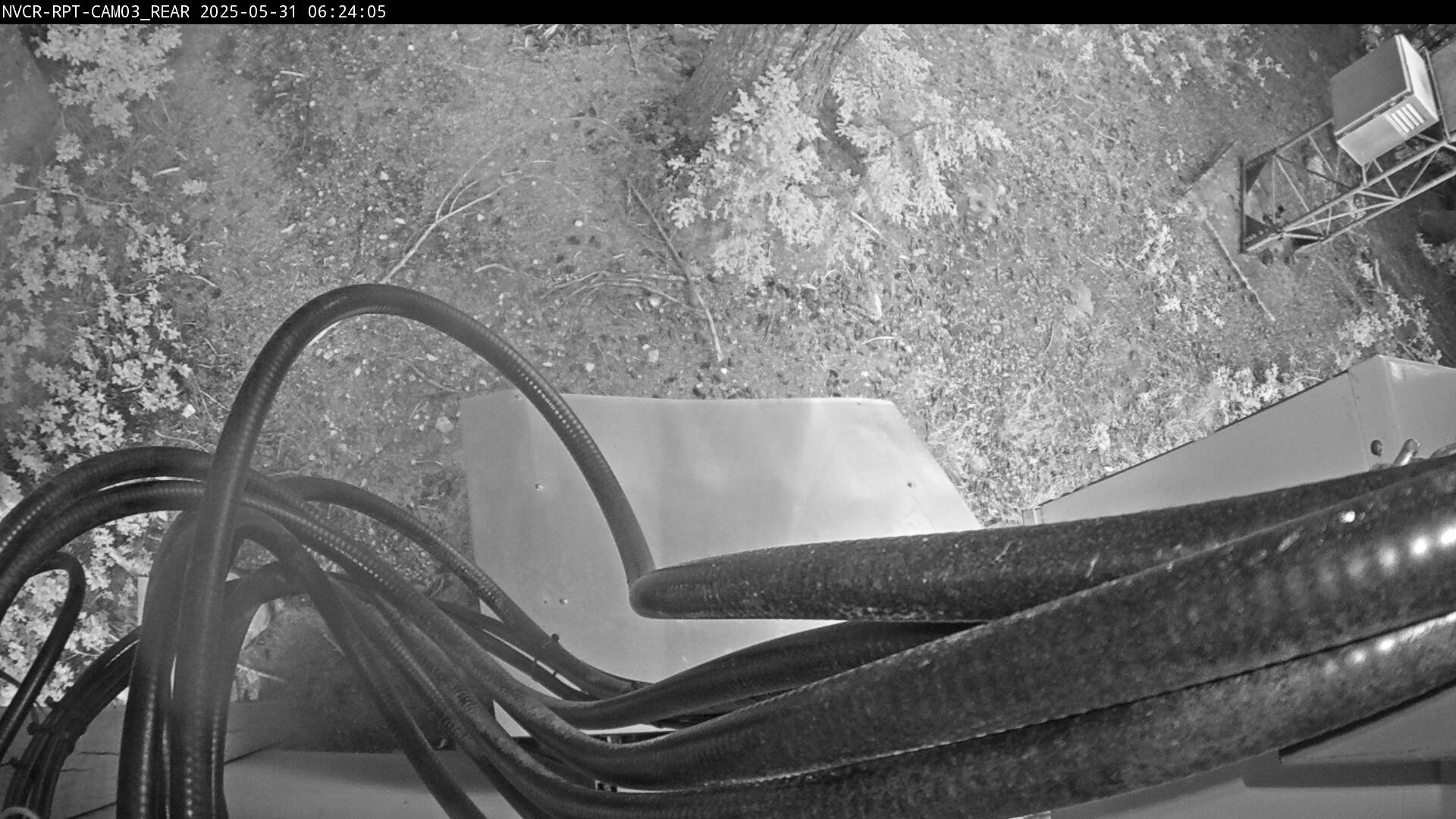 Web Cam History Image - 341