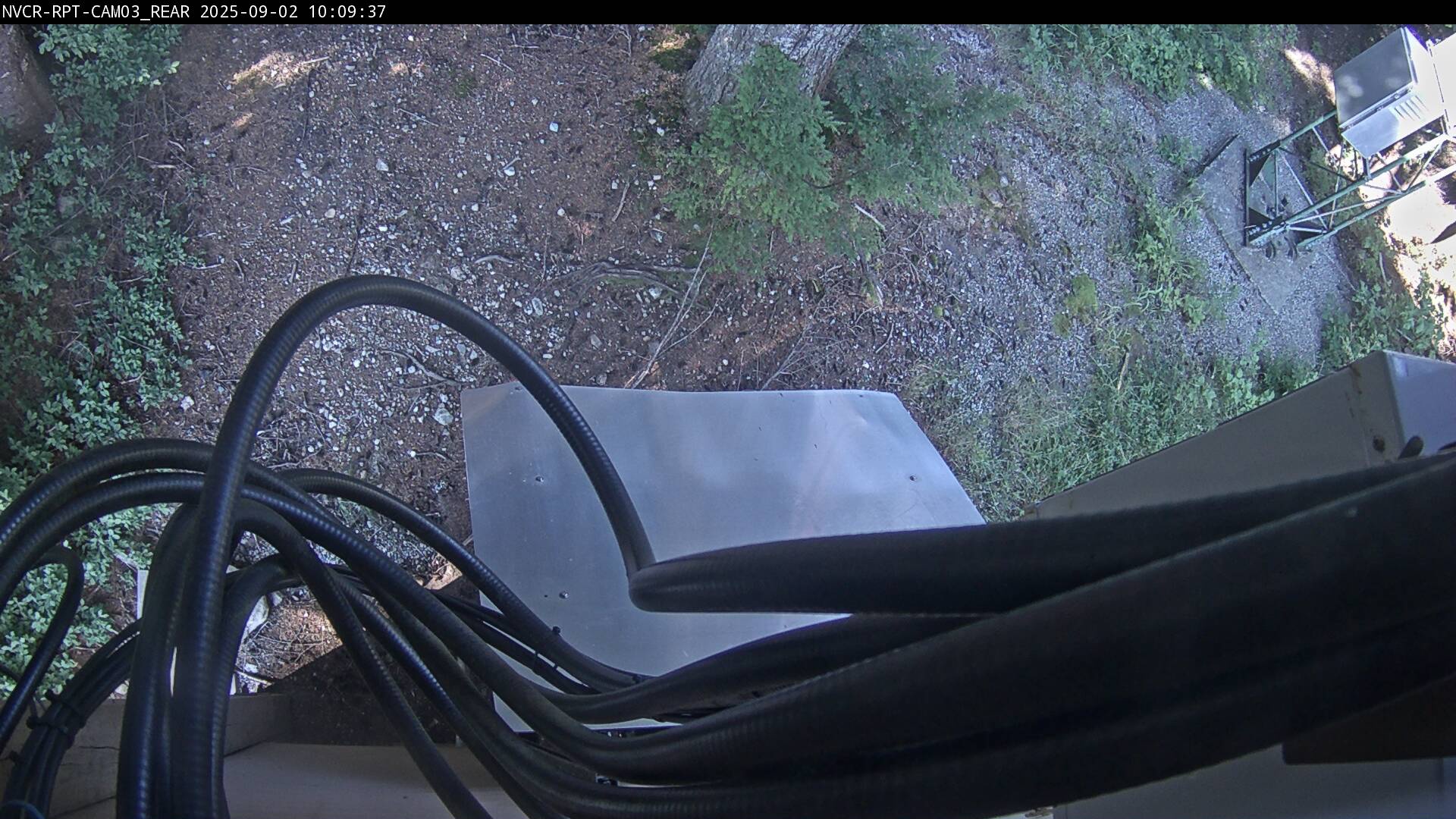 Web Cam History Image - 341