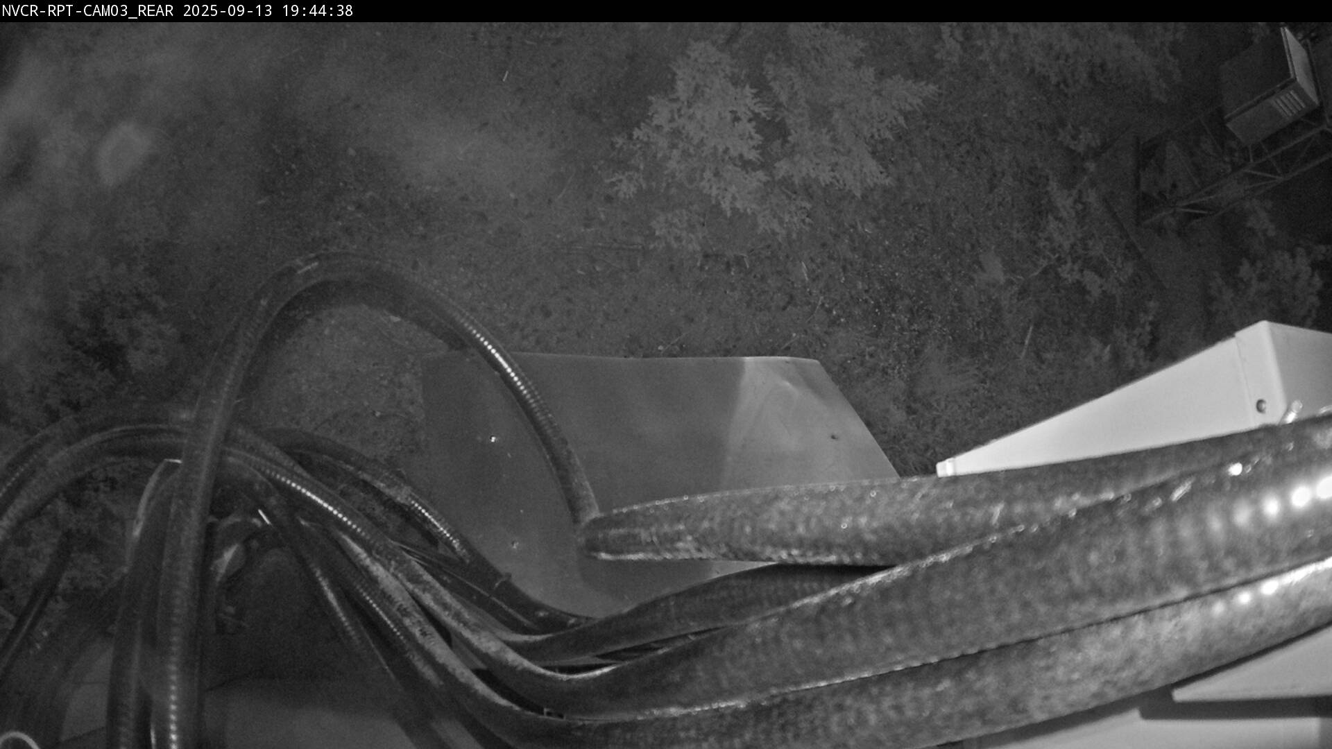 Web Cam History Image - 341