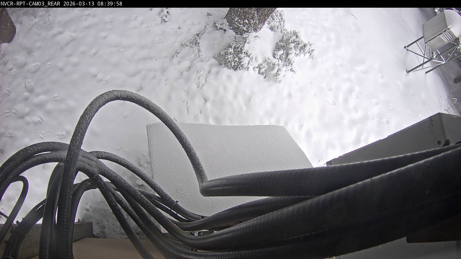 Web Cam History Image - 341