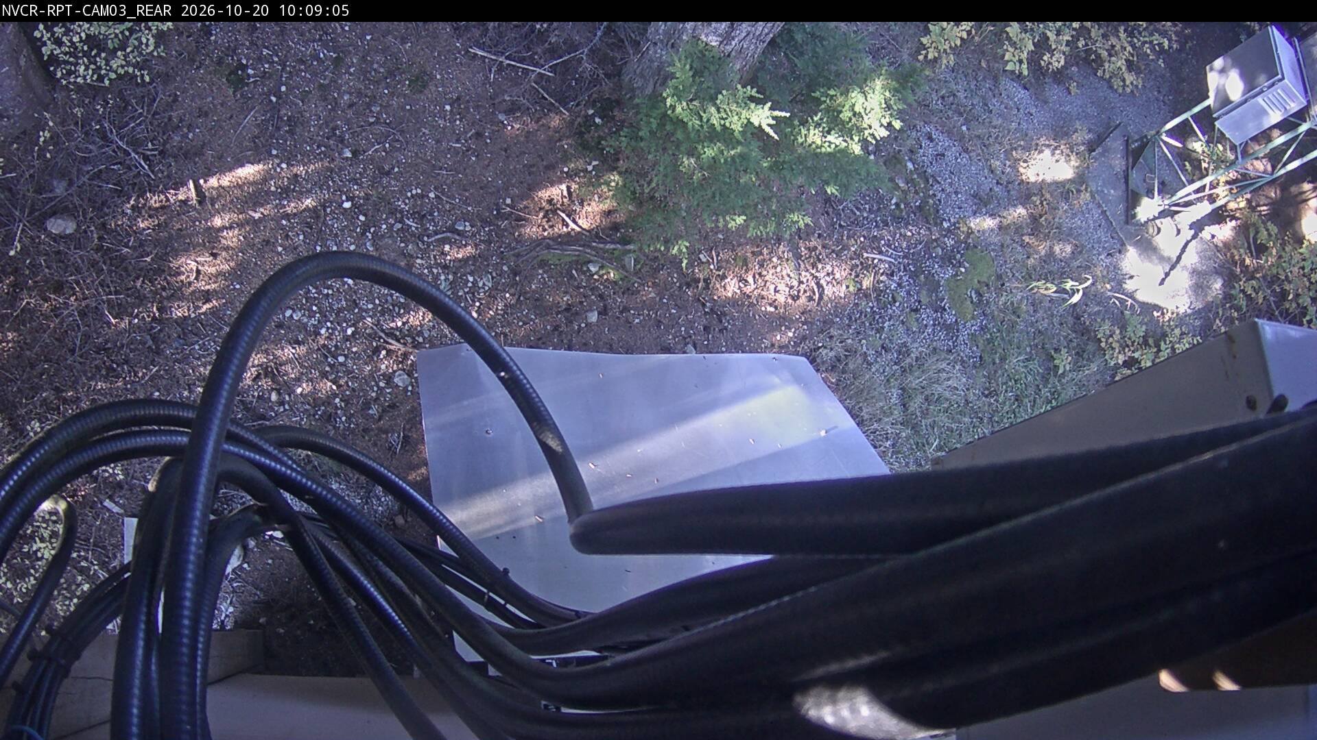 Web Cam History Image - 341