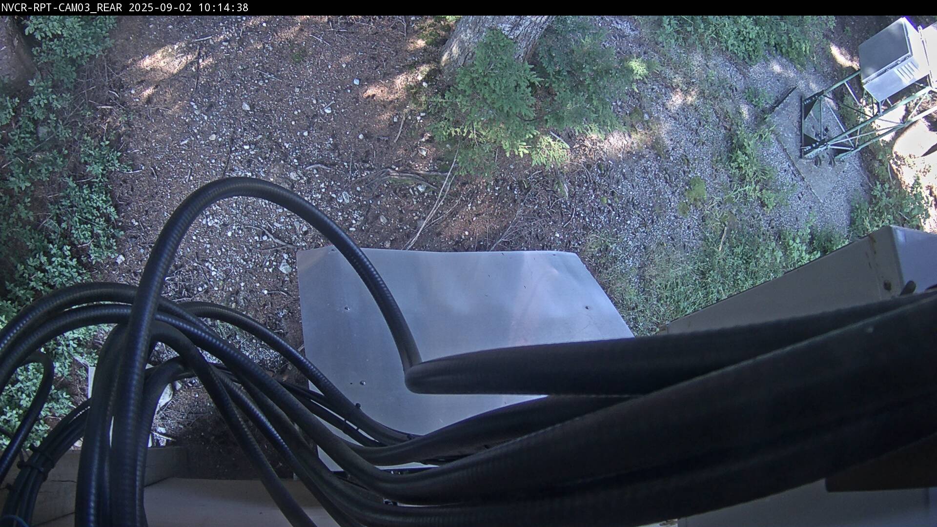Web Cam History Image - 342