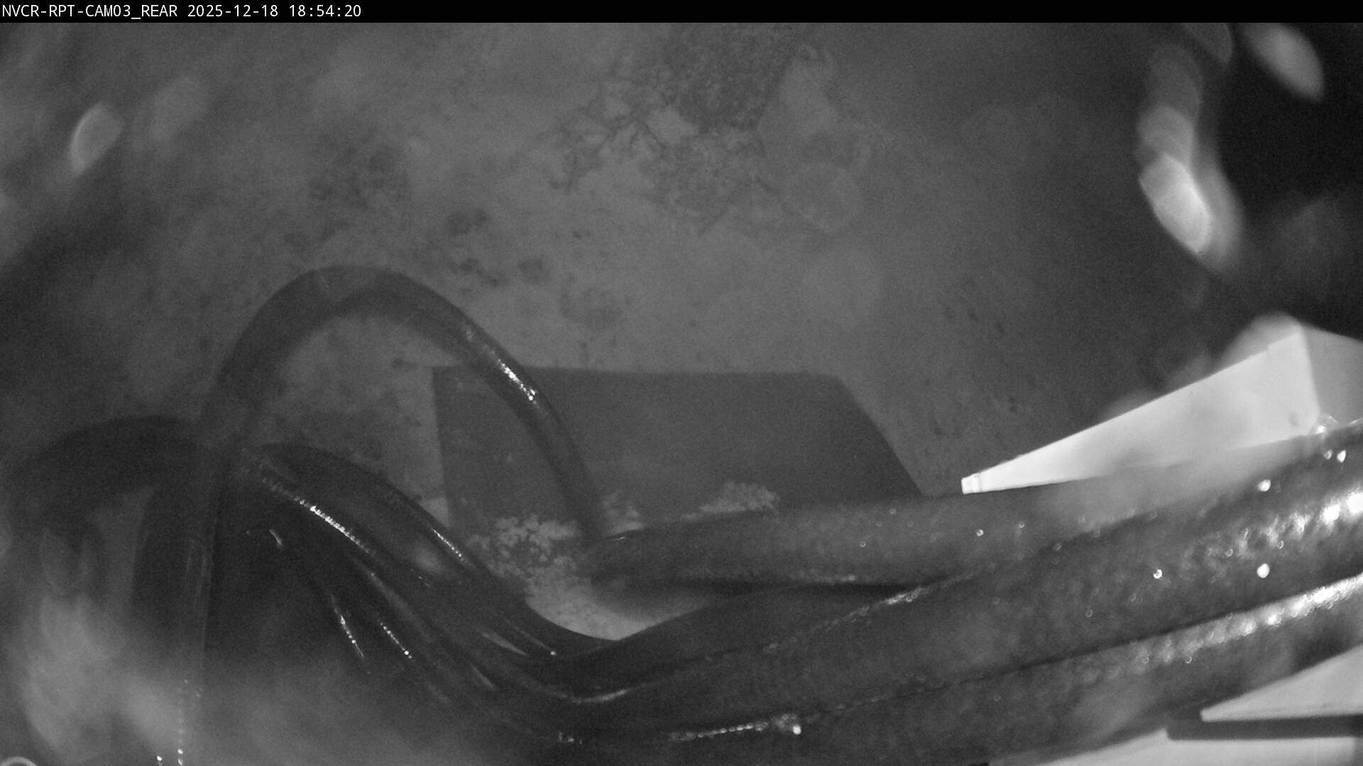 Web Cam History Image - 342