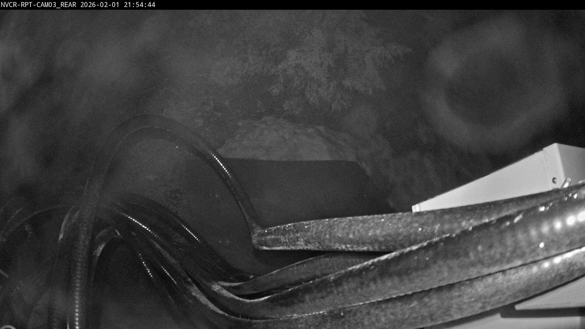 Web Cam History Image - 342