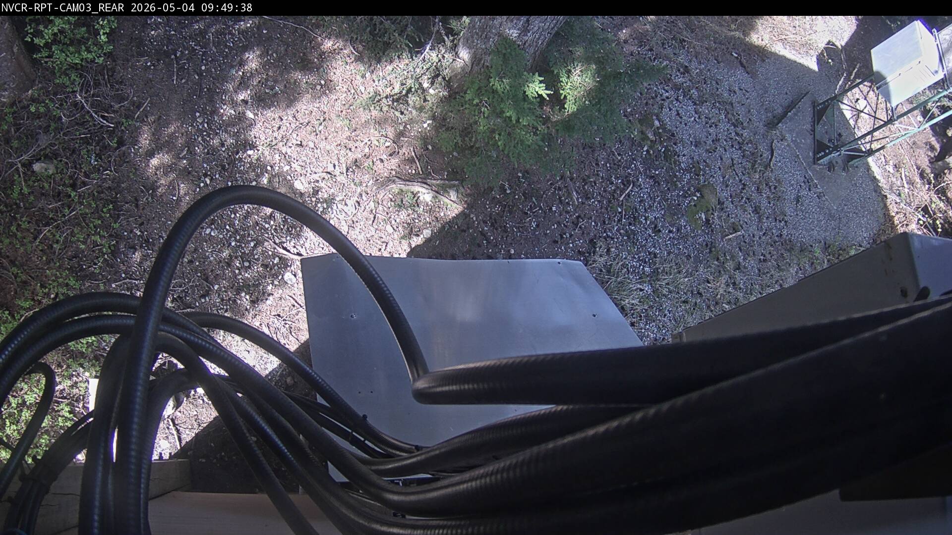 Web Cam History Image - 342