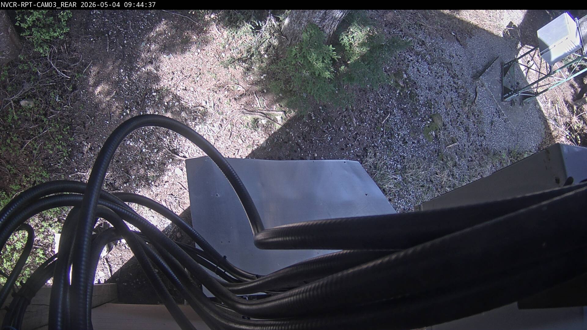 Web Cam History Image - 343