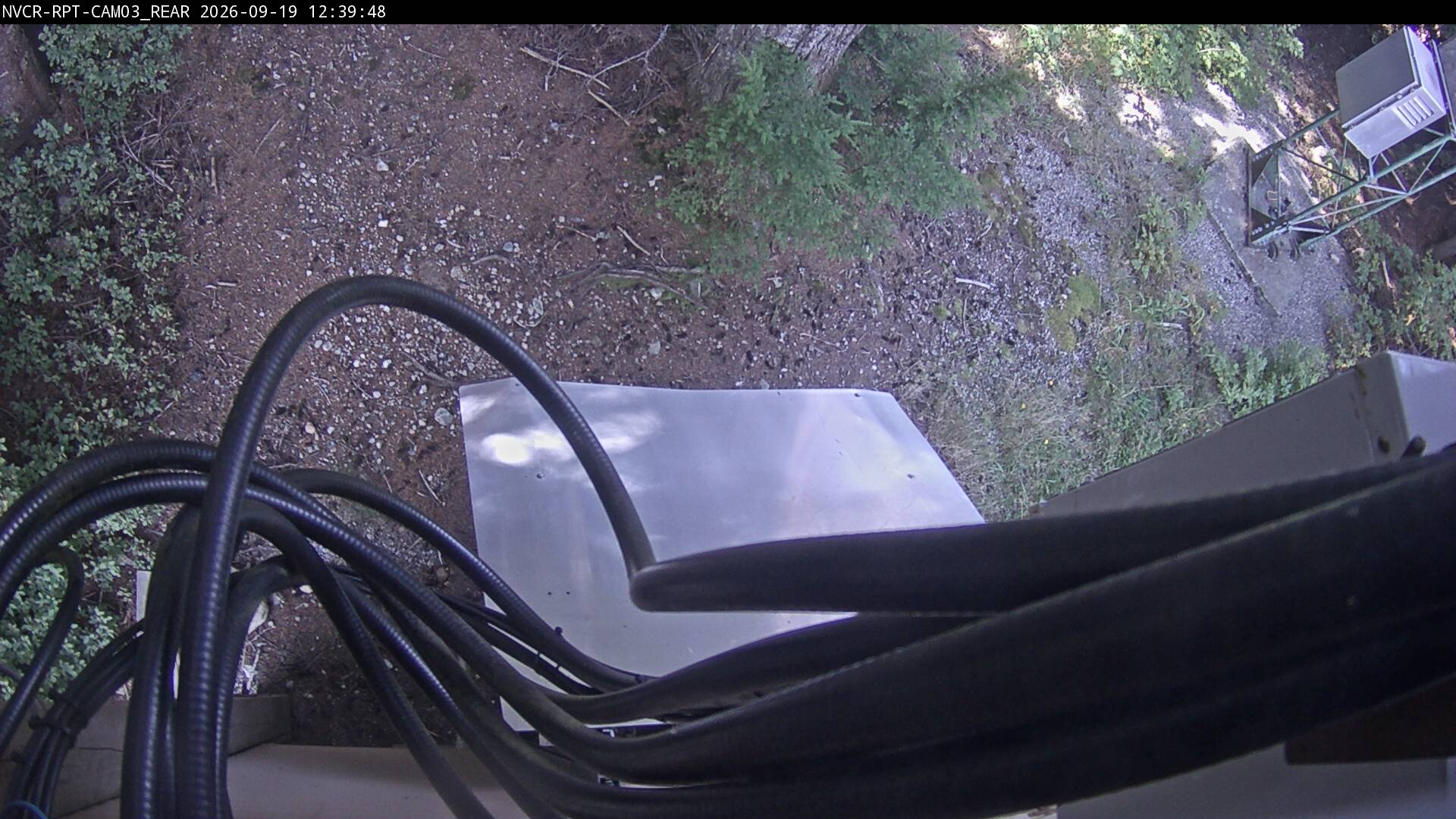 Web Cam History Image - 343