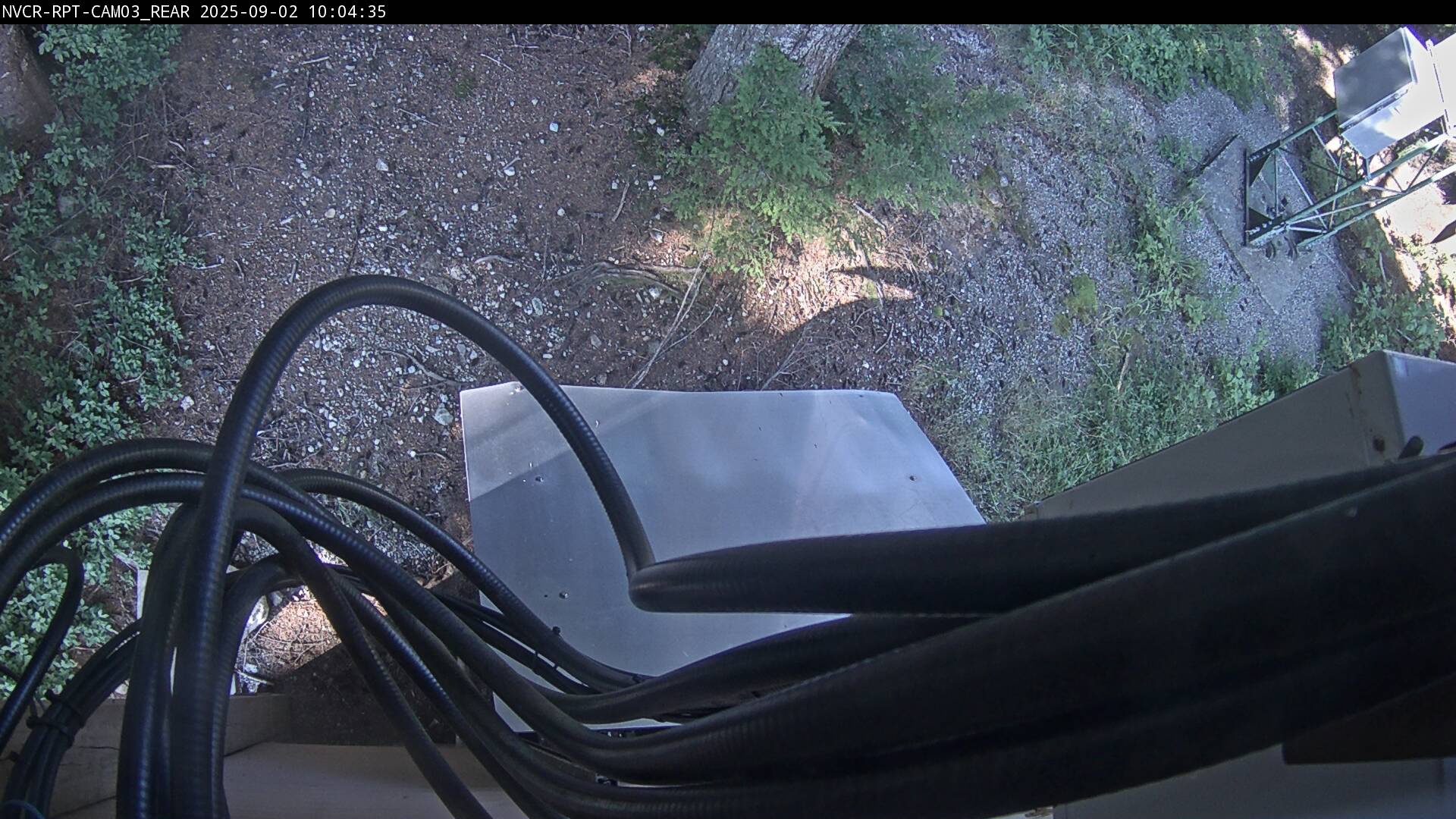 Web Cam History Image - 344