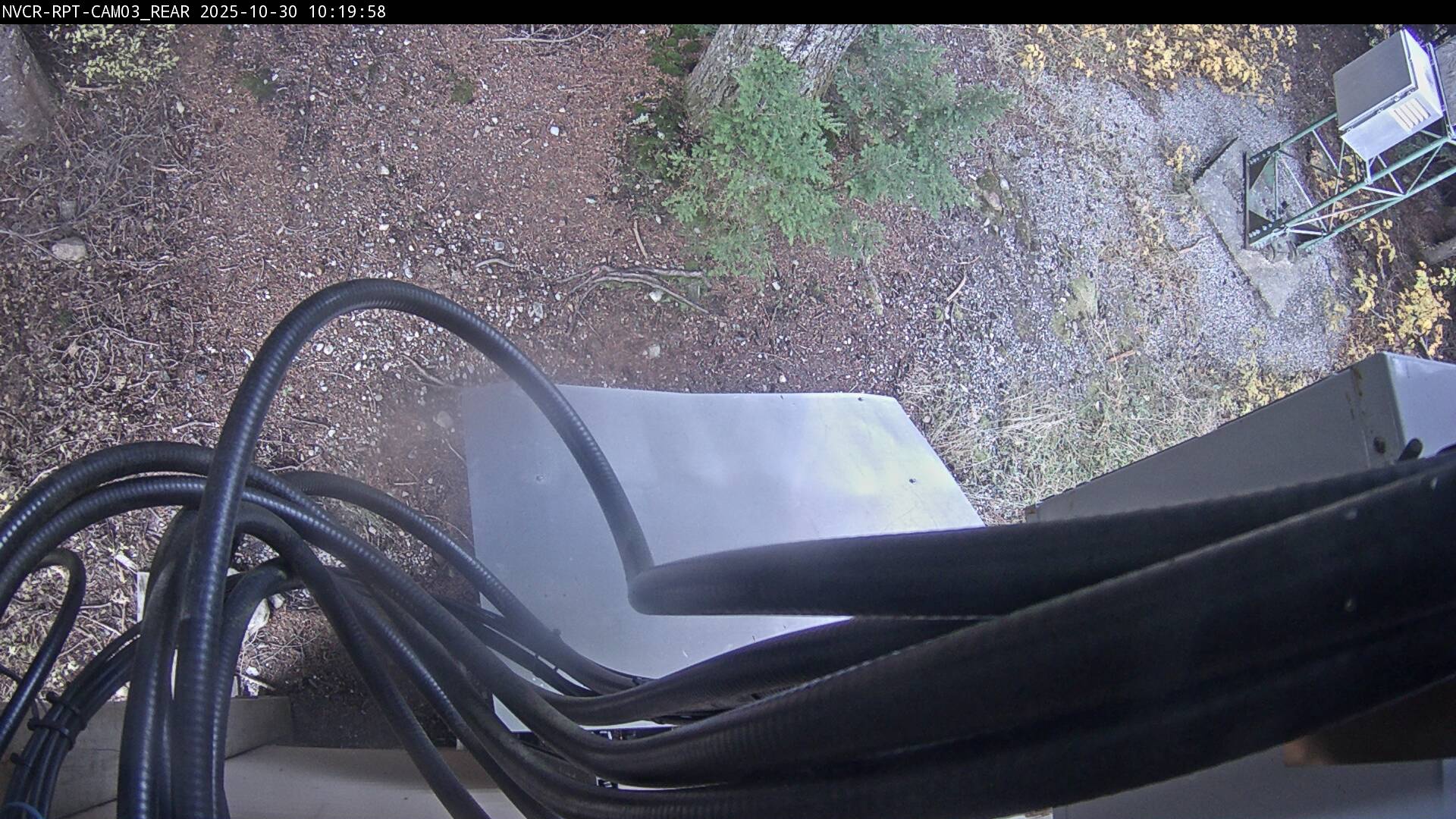 Web Cam History Image - 344