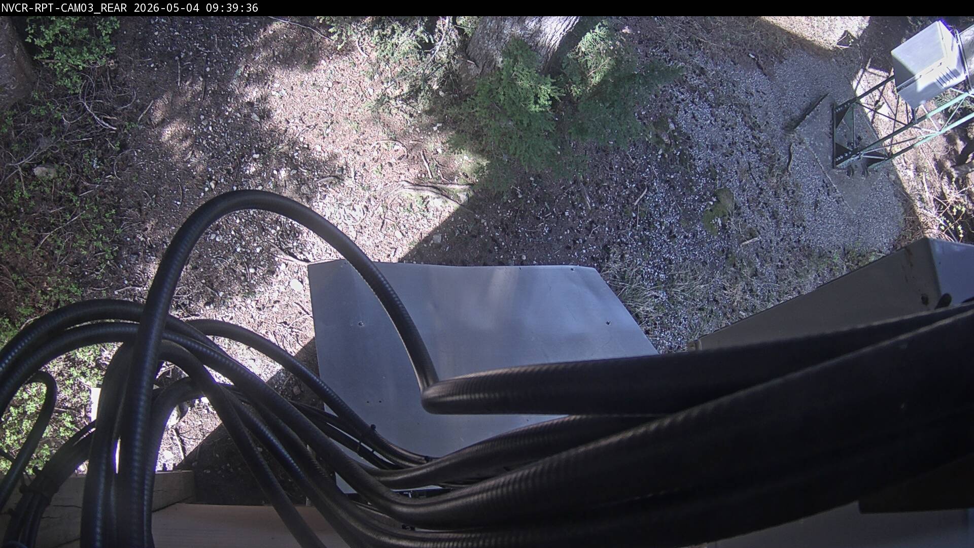 Web Cam History Image - 344