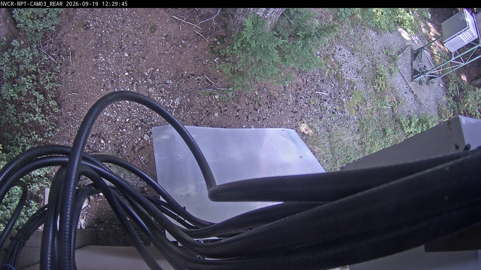 Web Cam History Image - 344