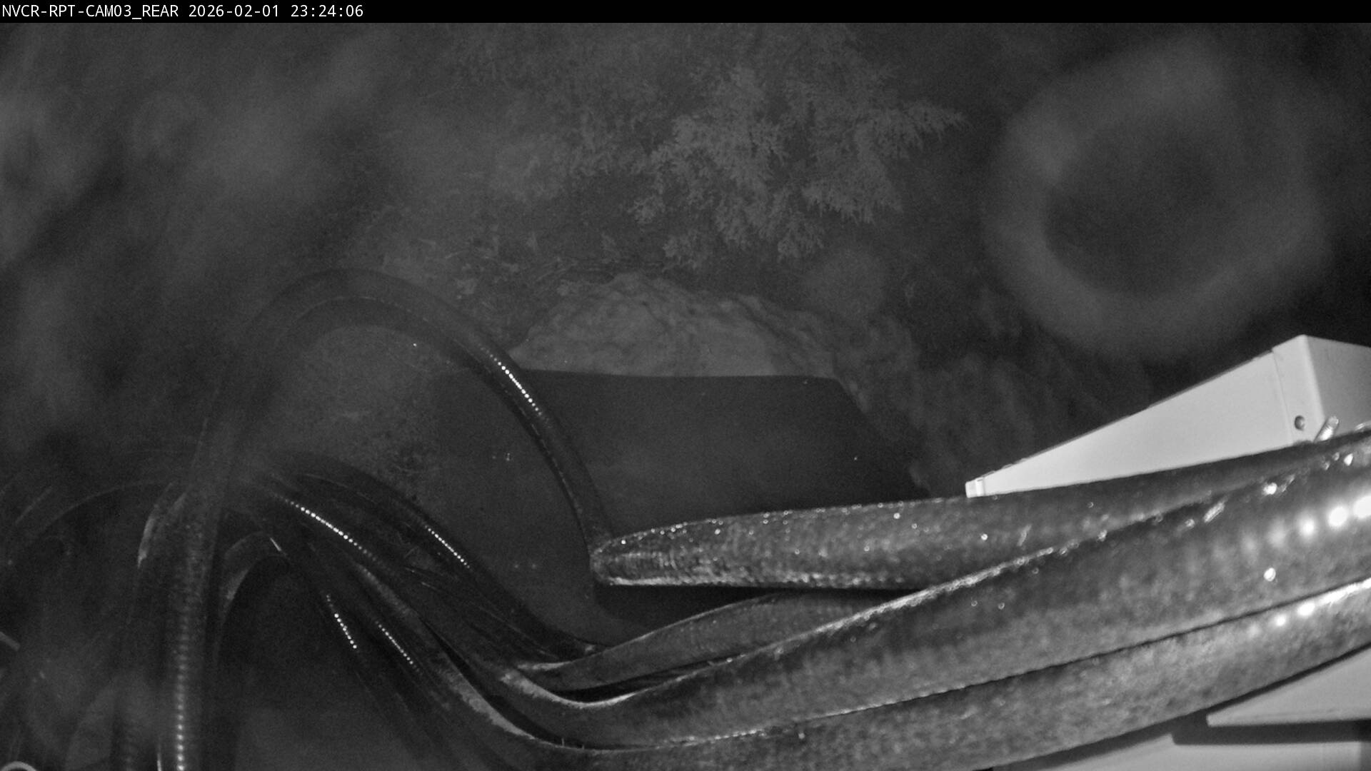 Web Cam History Image - 345