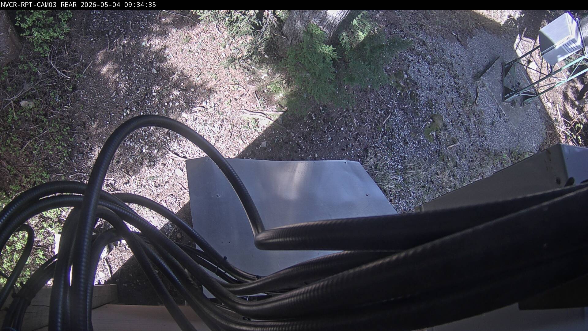 Web Cam History Image - 345