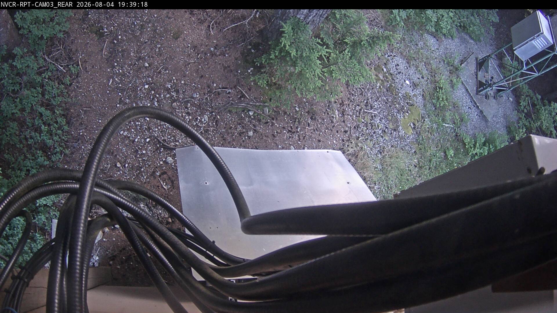 Web Cam History Image - 345