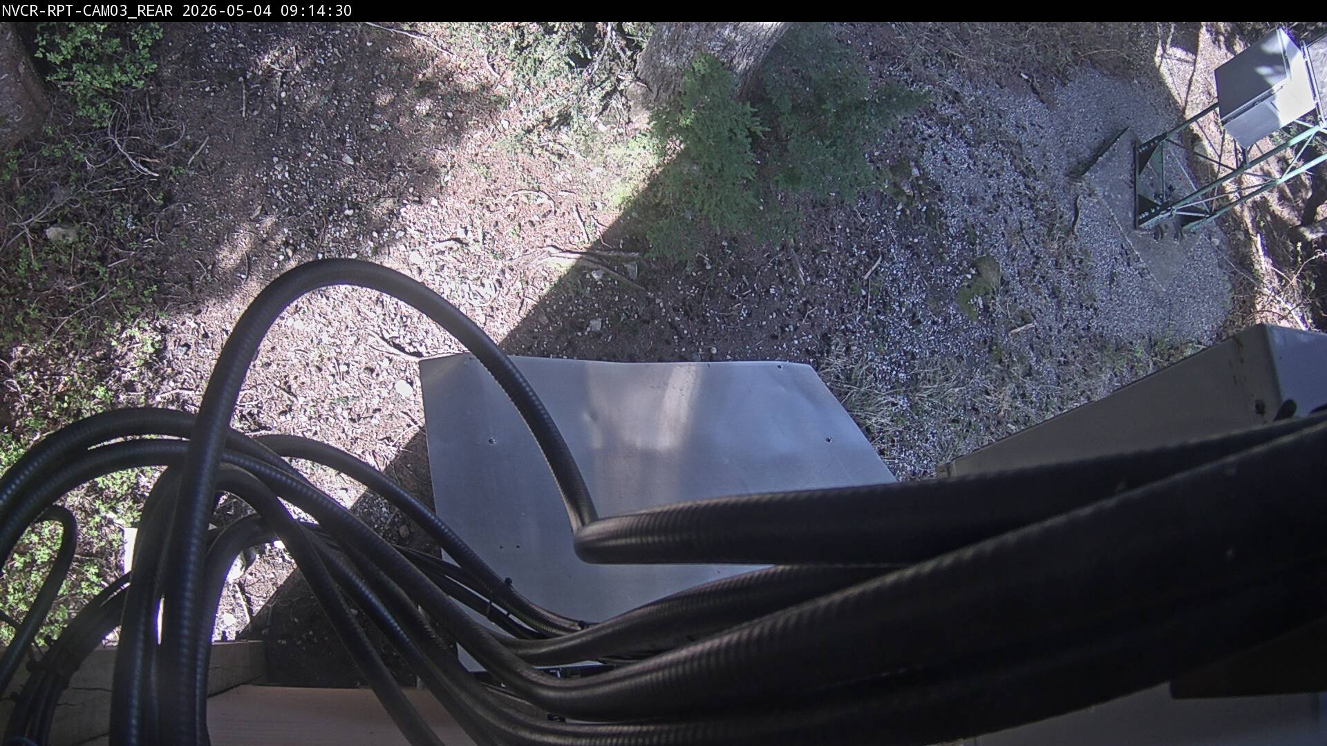 Web Cam History Image - 349