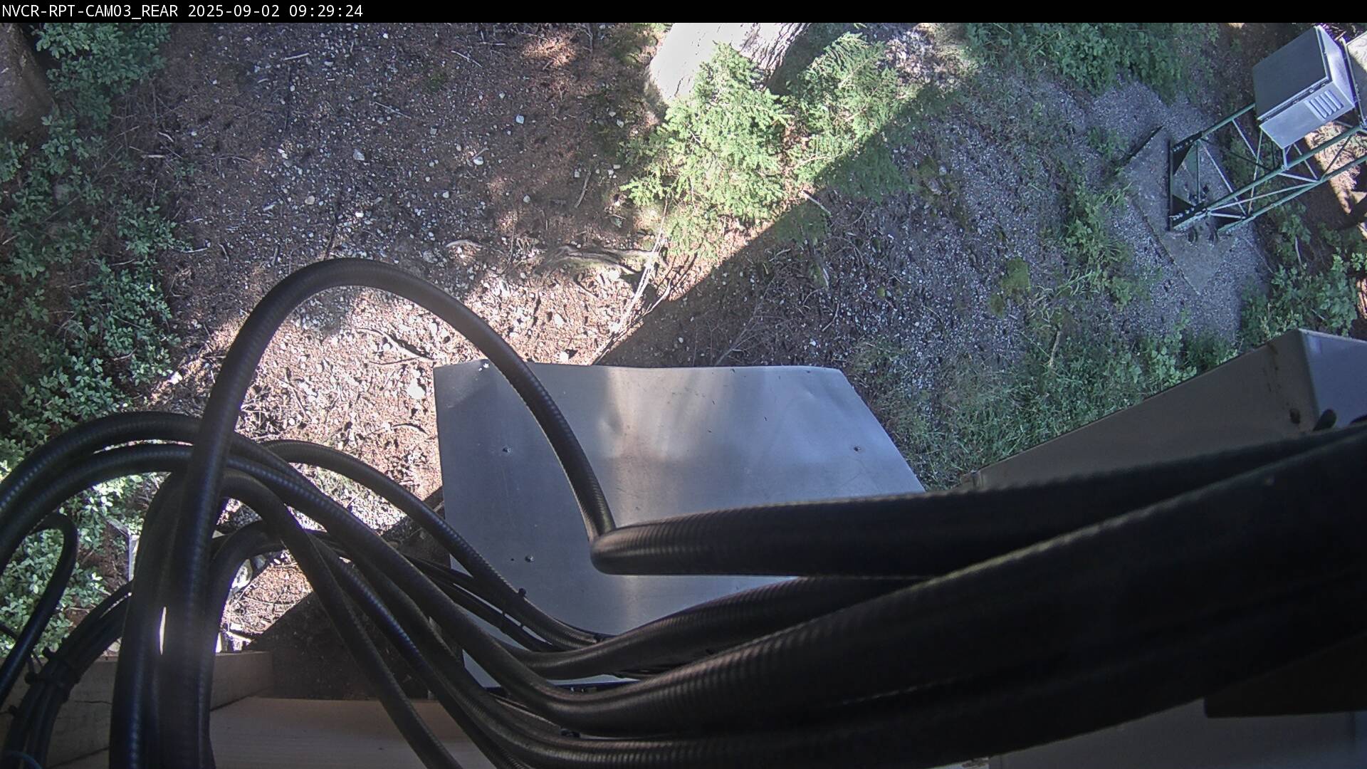 Web Cam History Image - 350