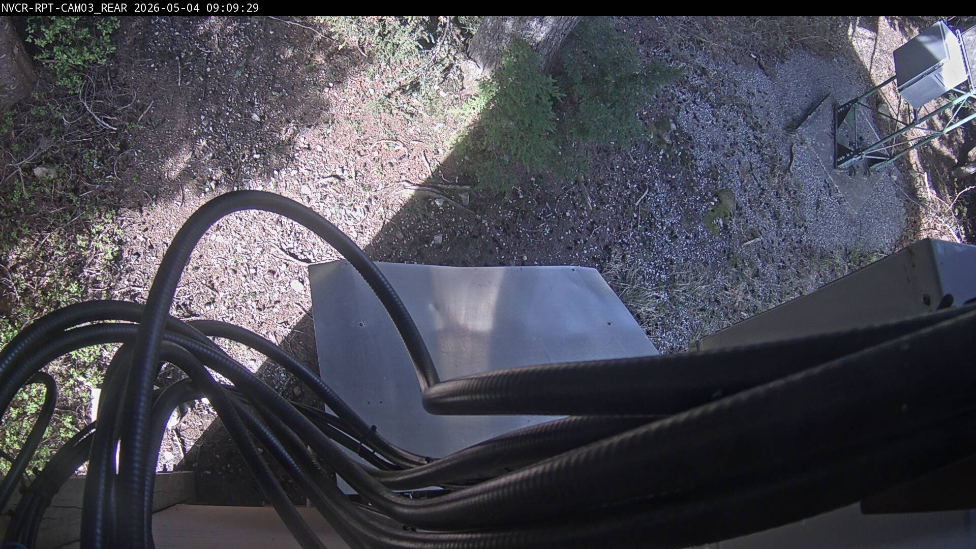 Web Cam History Image - 350