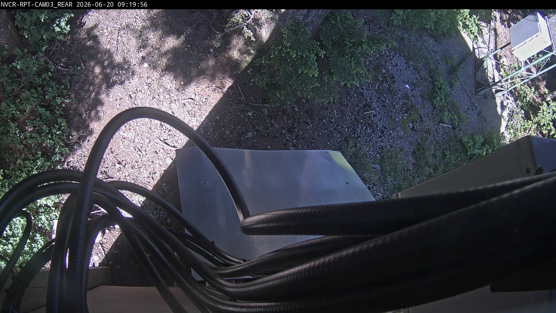 Web Cam History Image - 350