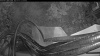 Web Cam Image - Fri, 07/31/2026 8:04pm PDT