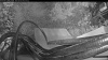Web Cam Image - Sat, 08/29/2026 5:29am PDT