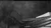 Web Cam Image - Fri, 09/25/2026 9:39pm PDT